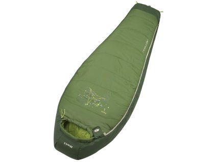 251708 2 boll stellar right eucalyptus forestgreen