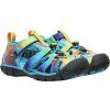 10020969KEN01 SEACAMP II CNX C, viv blu or ti d 2