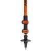 887520 4 husky trekove hole stork oranzova