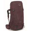 10030965OSP01 KYTE 68, elderberry purple