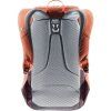 deuter overday