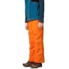 Hannah AKITA JR II puffins bill 6