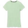 smartwool werinohortleeve tee pistachio
