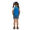 1063830 6 osprey daylite jr alpin blue blue flame