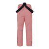 1090854 4 hannah akita jr ii rosette