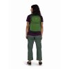 10048631OSP DAYLITE PLUS, green beltgreen canopy 5