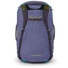 osprey transporter 65 euphoria purple purple ink8