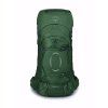 1120269 4 osprey ariel 55 koseret green