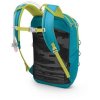 osprey jet 12 blue spikemoss lemongrass2