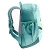 deuter Pico 4