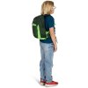 osprey talon jr green canopy4