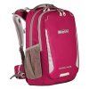 1164569 boll school mate 20 mouse boysenberry
