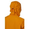1124163 1 hannah alagan pumpkin spice