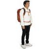 osprey nebula torrent blue heather4