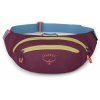 osprey daylite waist pack moody burgundy3