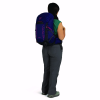 1120416 2 osprey tempest 26 deep fig hotspot pink