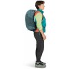 osprey hikelite 26 2