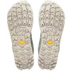 altra m lone peak 9 gtx sea spray island fossil3