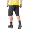 Hannah WEID SHORTS woodland gray 07