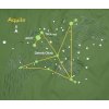251708 18 boll stellar right eucalyptus forestgreen